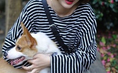 佐藤江梨花种子